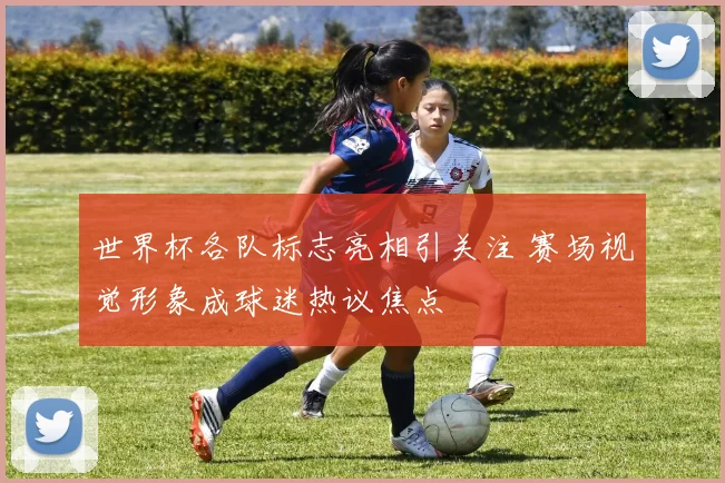 世界杯各队标志亮相引关注 赛场视觉形象成球迷热议焦点