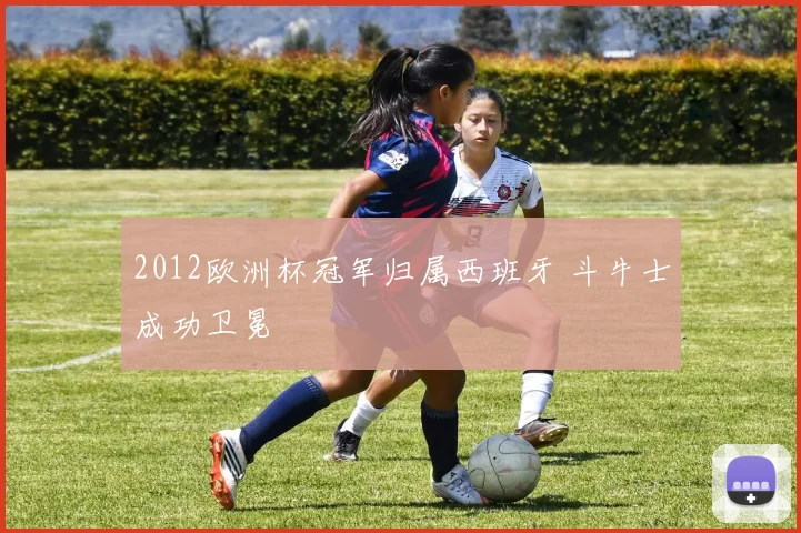 2012欧洲杯冠军归属西班牙 斗牛士成功卫冕
