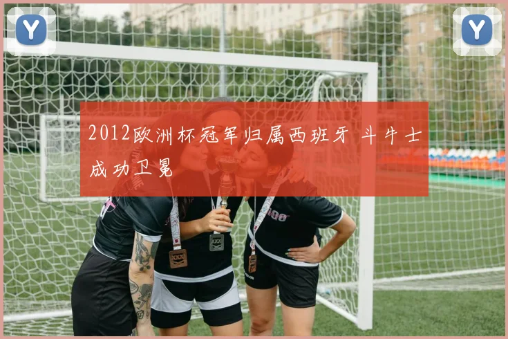 2012欧洲杯冠军归属西班牙 斗牛士成功卫冕