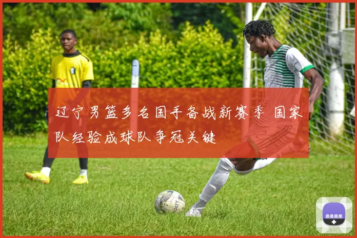 辽宁男篮多名国手备战新赛季 国家队经验成球队争冠关键