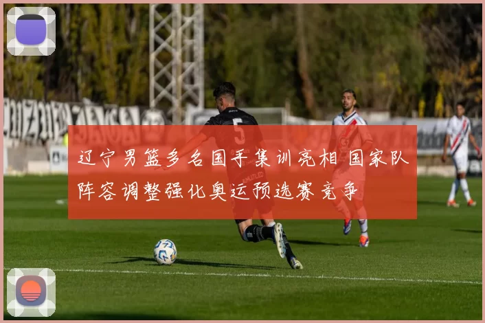 辽宁男篮多名国手集训亮相 国家队阵容调整强化奥运预选赛竞争